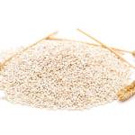 Spelt koken