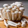 Enoki bakken