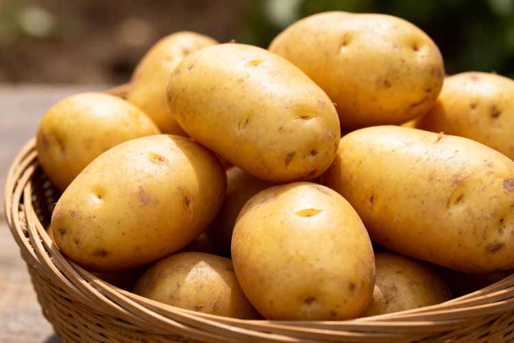 Hoeveel aardappelen per persoon?