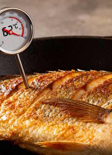 Kerntemperatuur dorade