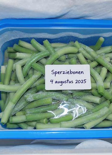 Sperziebonen invriezen