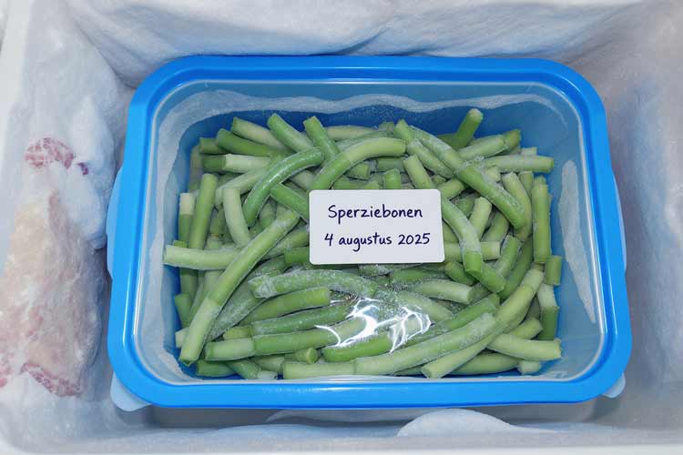 Sperziebonen invriezen