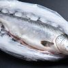 Forel invriezen