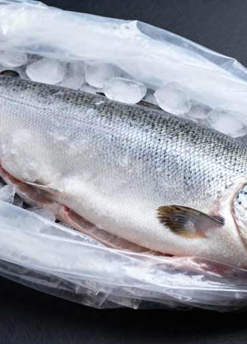 Forel invriezen