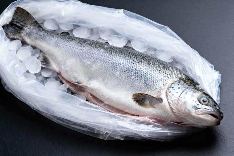 Forel invriezen
