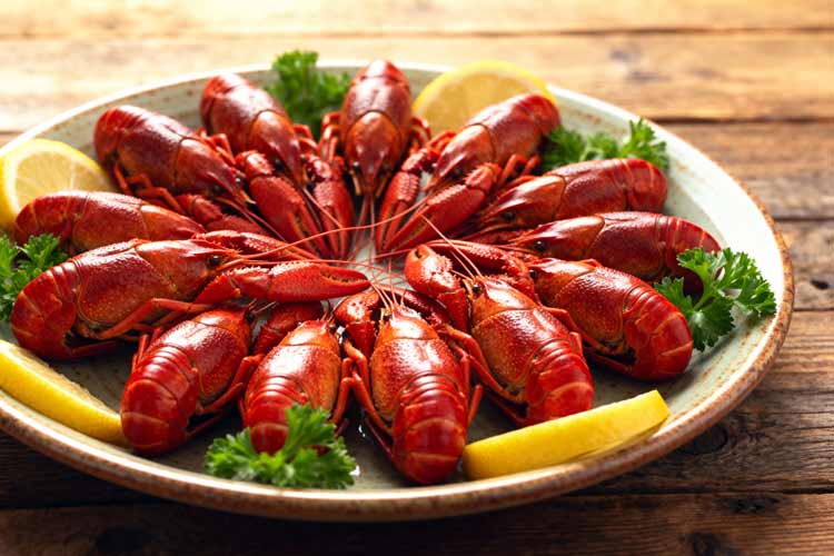 Rivierkreeft koken