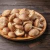 Shiitake bakken