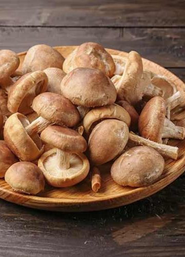 Shiitake bakken
