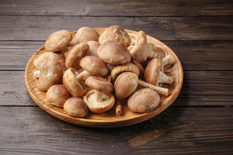 Shiitake bakken