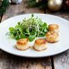 Coquilles bakken