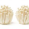 Enoki bakken