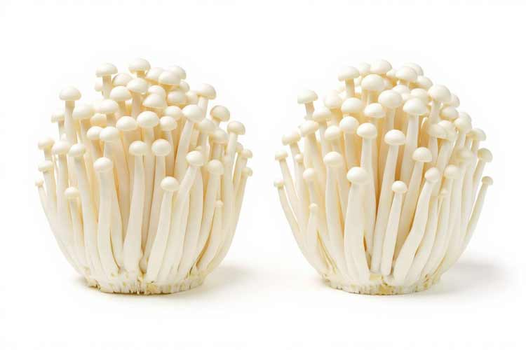 Enoki bakken