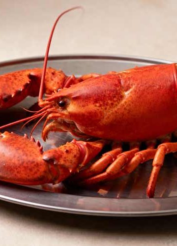 Kreeft koken