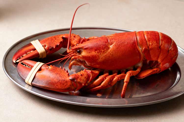 Kreeft koken