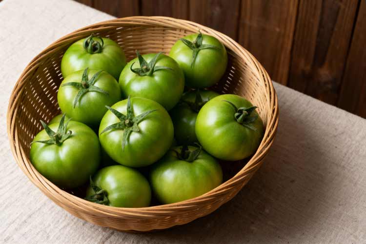 Zijn groene tomaten giftig?