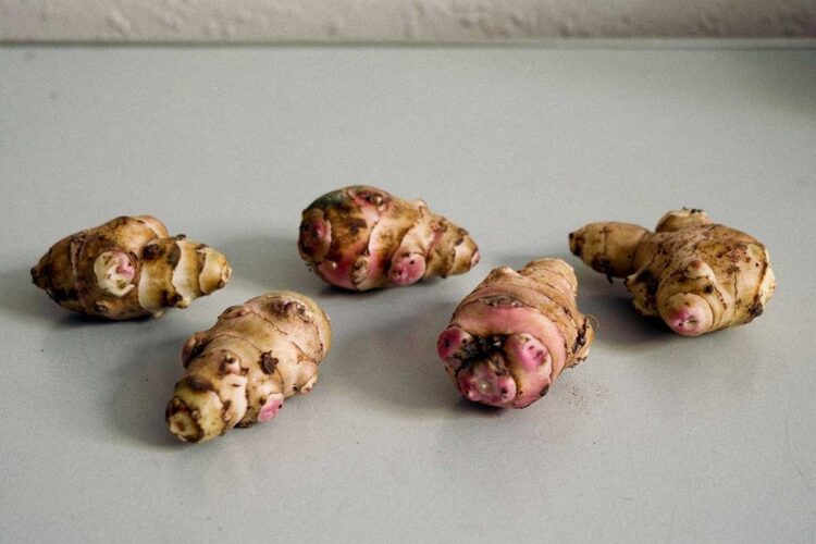 5 aardperen op een werkblad, bijna klaar om te koken.
