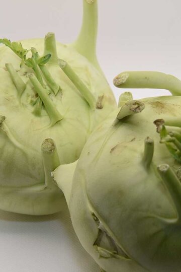 2 koolrabi knollen, vers en ongeschild.