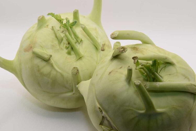 2 koolrabi knollen, vers en ongeschild.