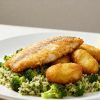 Tilapia bakken