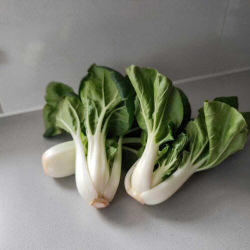 3 kroppen paksoi op een werkblad.