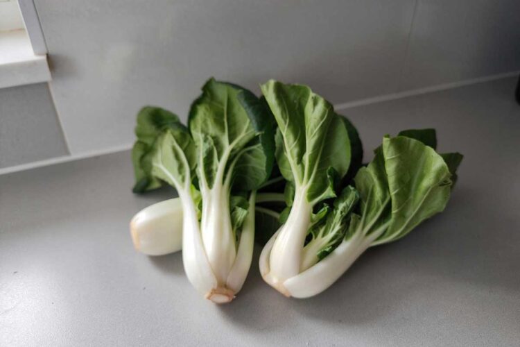 3 kroppen paksoi op een werkblad.